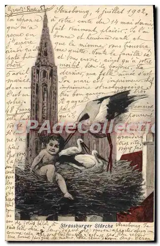 Cartes postales Strassburger Storche cigogne