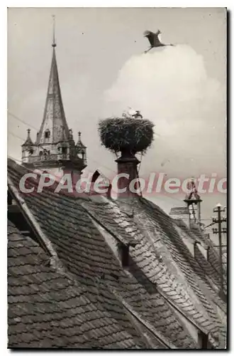 Cartes postales Obernai Son Nid De Cigognes