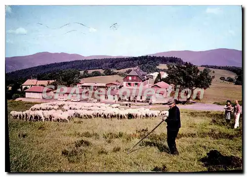 Cartes postales moderne colonie de Vacances Des Ponts Et Chaussees Muckenbach