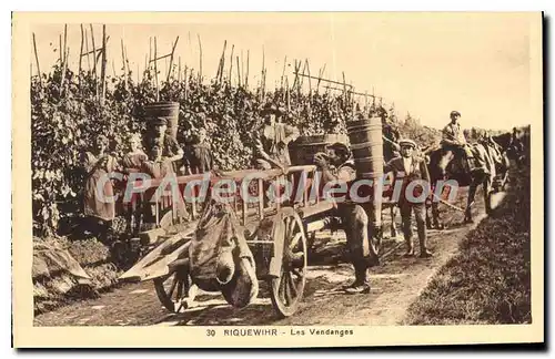 Cartes postales Riquewihr Les Vendanges