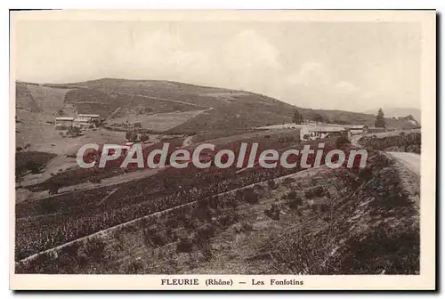 Cartes postales Fleurie Les Fonfotins