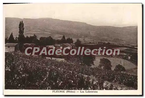 Cartes postales Fleurie Les Labourons