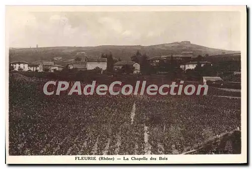 Cartes postales Fleurie La Chapelle Des Bois