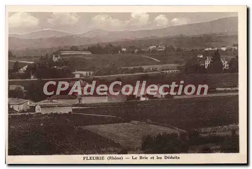 Cartes postales Fleurie Le Brie Et Les Deduits