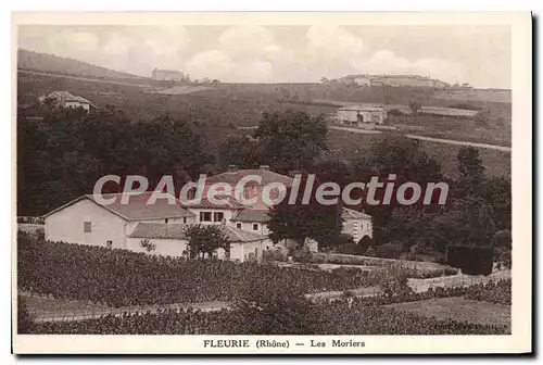 Cartes postales Fleurie Les Moriers