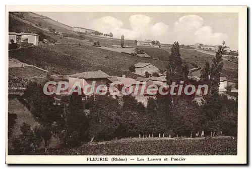 Cartes postales Fleurie Les Lavers Et Poncier