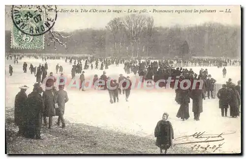 Ansichtskarte AK Lyon Parc De La Tete D'Or Sous La Neige lac gel� patineurs patin � glace