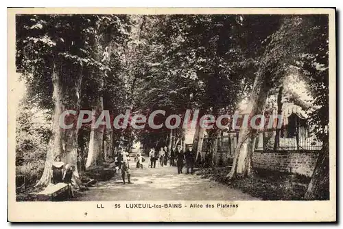 Cartes postales Luxeuil Les Bains Allee Des Platanes