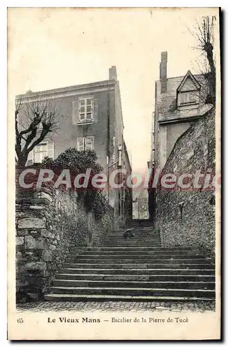 Cartes postales Le Mans Escalier De La Pierre De Tuce