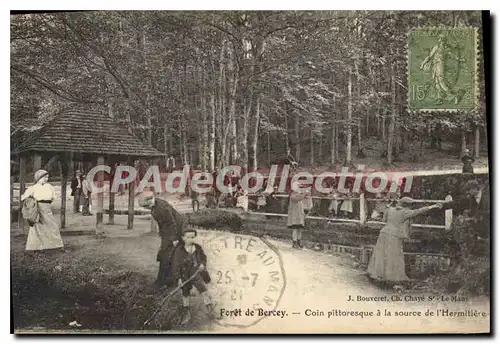 Cartes postales Foret De Bercey Coin Pittoresque La Source Hermiti�re