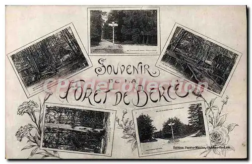 Cartes postales Foret De Bercey souvenir