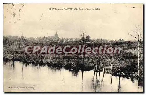 Cartes postales Fresnay Sur Sarthe Vue Partielle