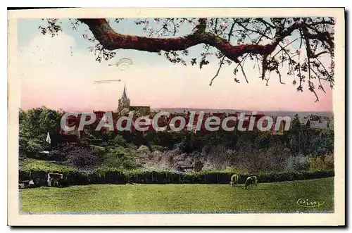 Cartes postales Fresnay Sur Sarthe Vue Generale