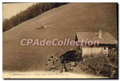 Ansichtskarte AK Areches Alpage Vers Le Col Du Pres