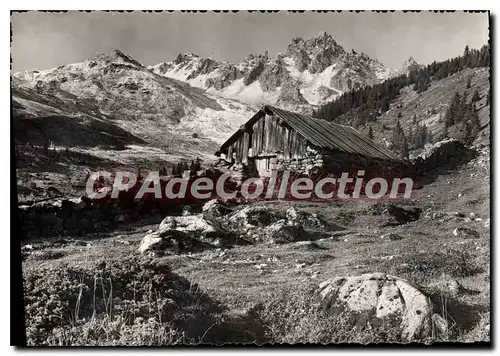 Cartes postales moderne Courchevel Le Vallon Du Biollay t�l�ph�rique de la Saulire