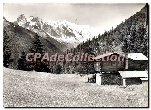 Cartes postales moderne Vallee De Chamonix Argentieres Tr�lechamp