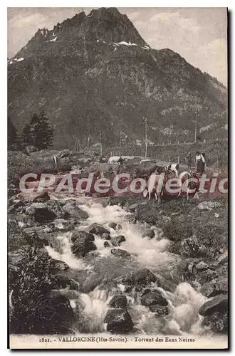 Cartes postales Vallorcine Torrent Des Eaux Noires