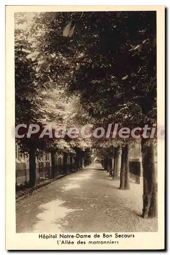 Cartes postales Hopital Notre Dame De Bon Secours all�e des marronniers