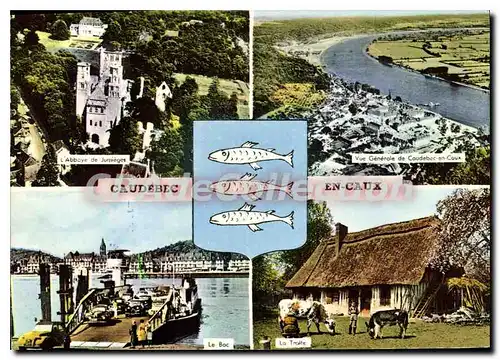 Cartes postales moderne Caudebec En Caux