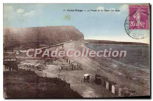 Cartes postales Criel Plage La Plage Et Le Mont Joli Bois