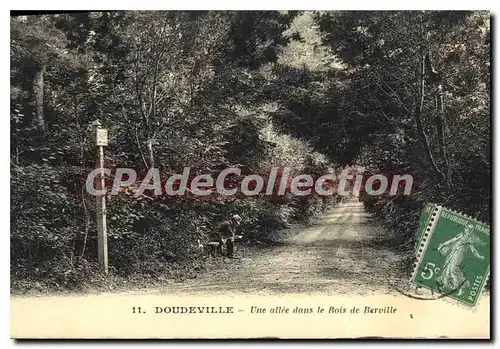 Ansichtskarte AK Doudeville Une Allee Dans Le Bois De Berville