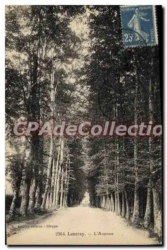 Cartes postales Luneray L'Avenue