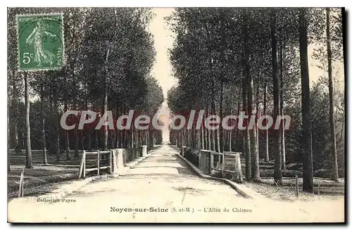 Cartes postales Noyen Sur Seine L'Allee Du Chateau