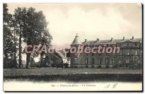 Cartes postales Fleury En Biere Le Ch�teau