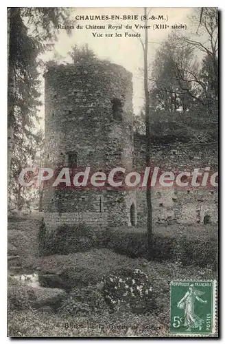 Cartes postales Chaumes En Brie Ruines Du Chateau Royal du Vivier