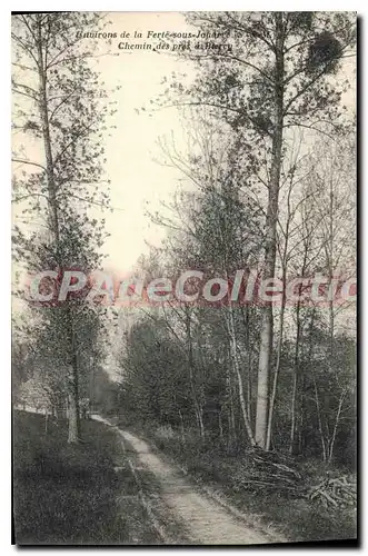 Cartes postales environs de La Ferte Sous Jouarre Chemin Des pr�s � Biercy