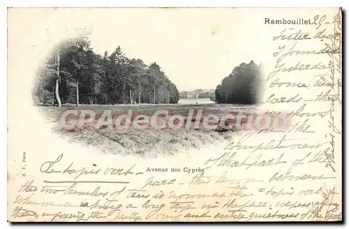 Cartes postales Rambouillet Avenue Des Cypres