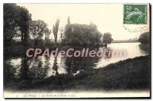 Cartes postales Le Pecq Les Bords De la Seine