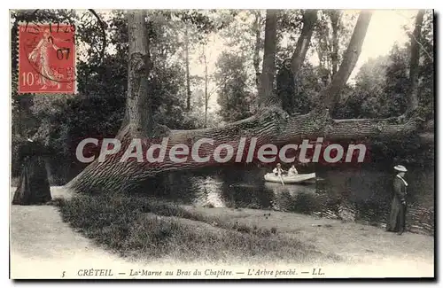 Cartes postales Creteil La Marne Au Bras Du Chapitre l'arbre pench�