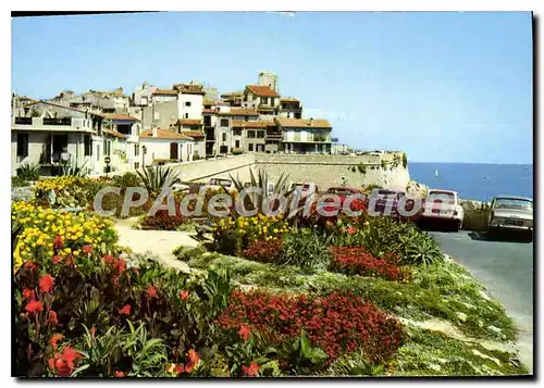 Cartes postales moderne Antibes Les Remparts