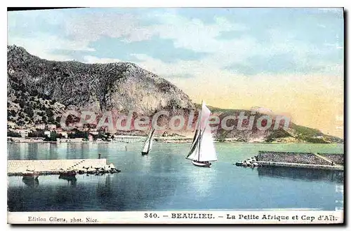 Cartes postales Beaulieu Sur Mer La Petite Afrique Et Cap d'a�l