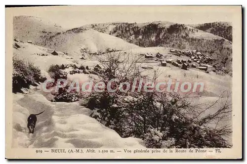 Ansichtskarte AK Beuil Vue Generale Prise de la route de P�one