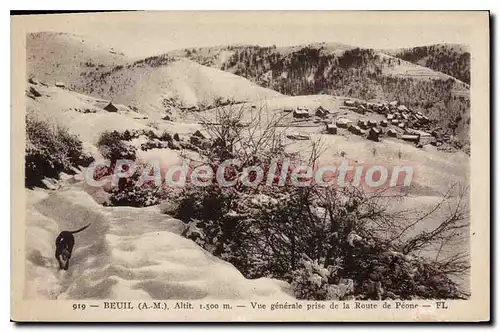 Cartes postales Beuil Vue Generale Prise de la route de P�one