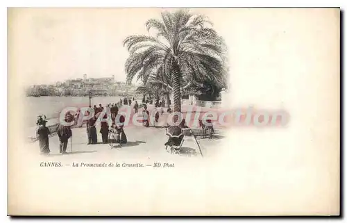 Cartes postales Cannes La Promenade De la Croisette