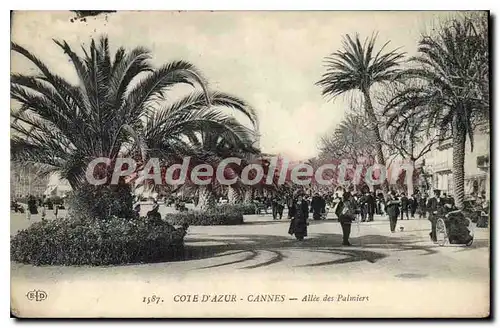 Ansichtskarte AK Cannes Allee Des Palmiers