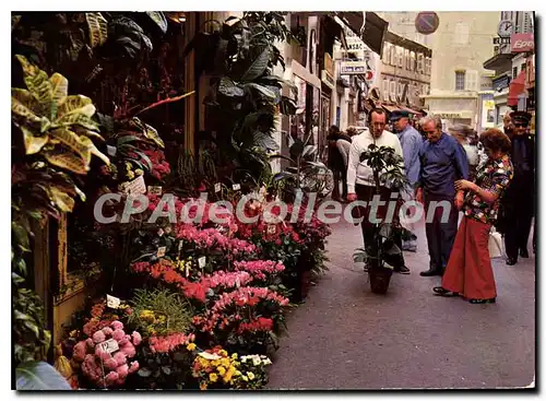 Cartes postales moderne Cannes Rue Meynadier