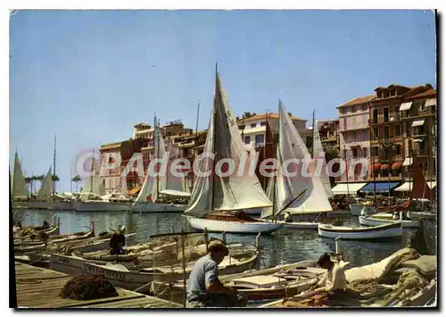 Cartes postales moderne Cannes Cote D'Azur Le Vieux Port