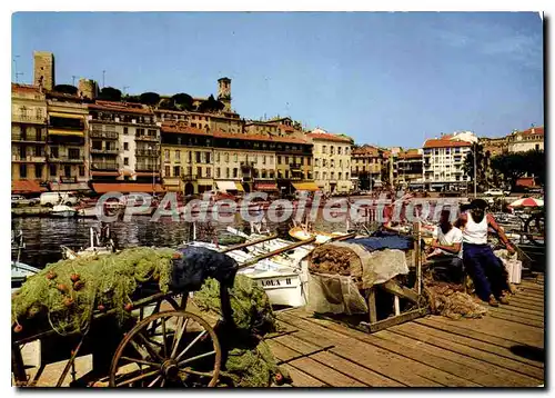 Cartes postales moderne Cannes Un Coin du Port Le Quai St Pierre