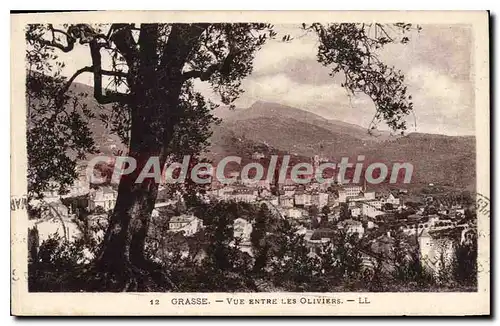 Cartes postales Grasse Vue Entre Les Oliviers