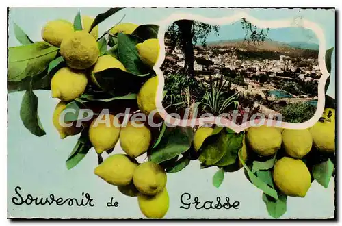 Cartes postales Grasse souvenir citron