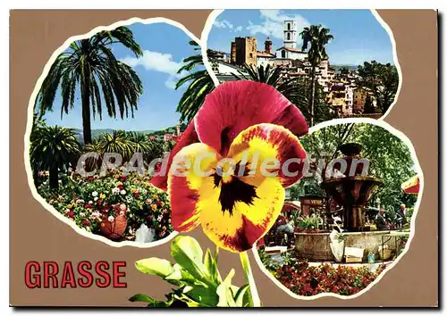 Cartes postales moderne Grasse Une Pensee