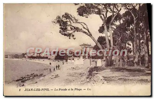 Cartes postales Juan Les Pins La Pinede Et La Plage