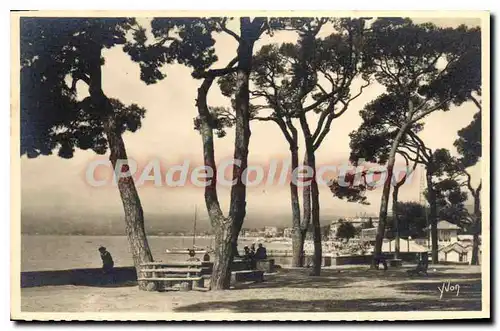 Cartes postales Juan Les Pins La Plage Vue De La Pinede