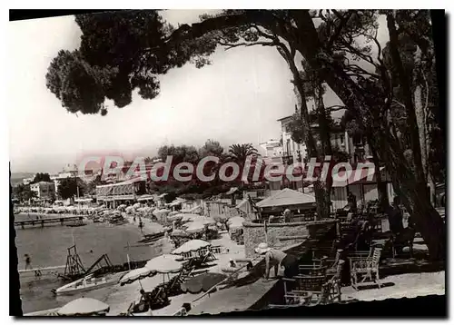 Cartes postales moderne Juan Les Pins Terrasse Du Casino Vues De la Pinede