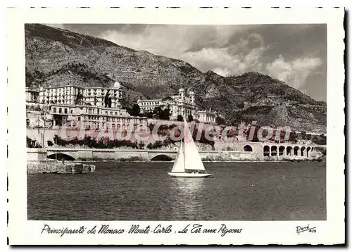 Cartes postales moderne Monaco Monte Carlo tir aux pigeons