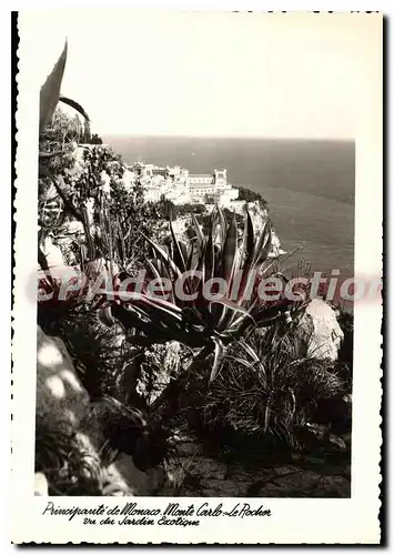 Cartes postales moderne Monaco Monte Carlo Le Rocher Vu Du Jardin exotique